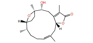 Pachyclavulariolide O